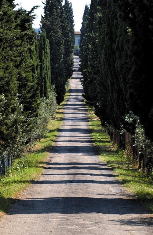 Апартаменты Agriturismo Poggio Arioso Скандиччи Экстерьер фото